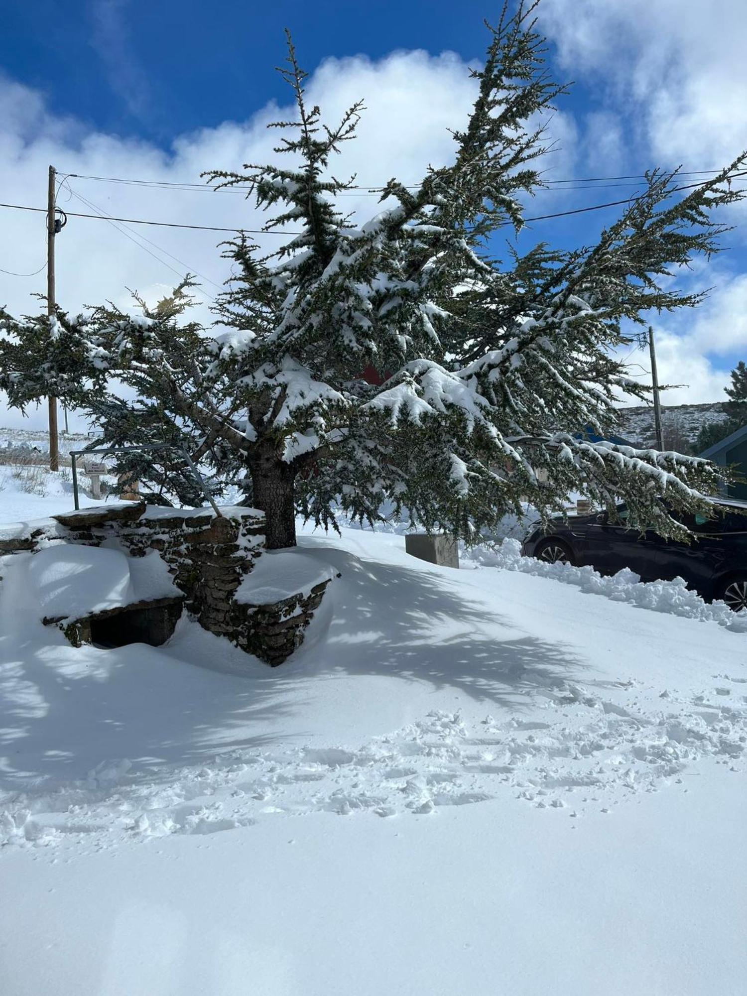 Casa Dos Pinheiros - Serra Da Estrela Penhas da Saúde Kültér fotó