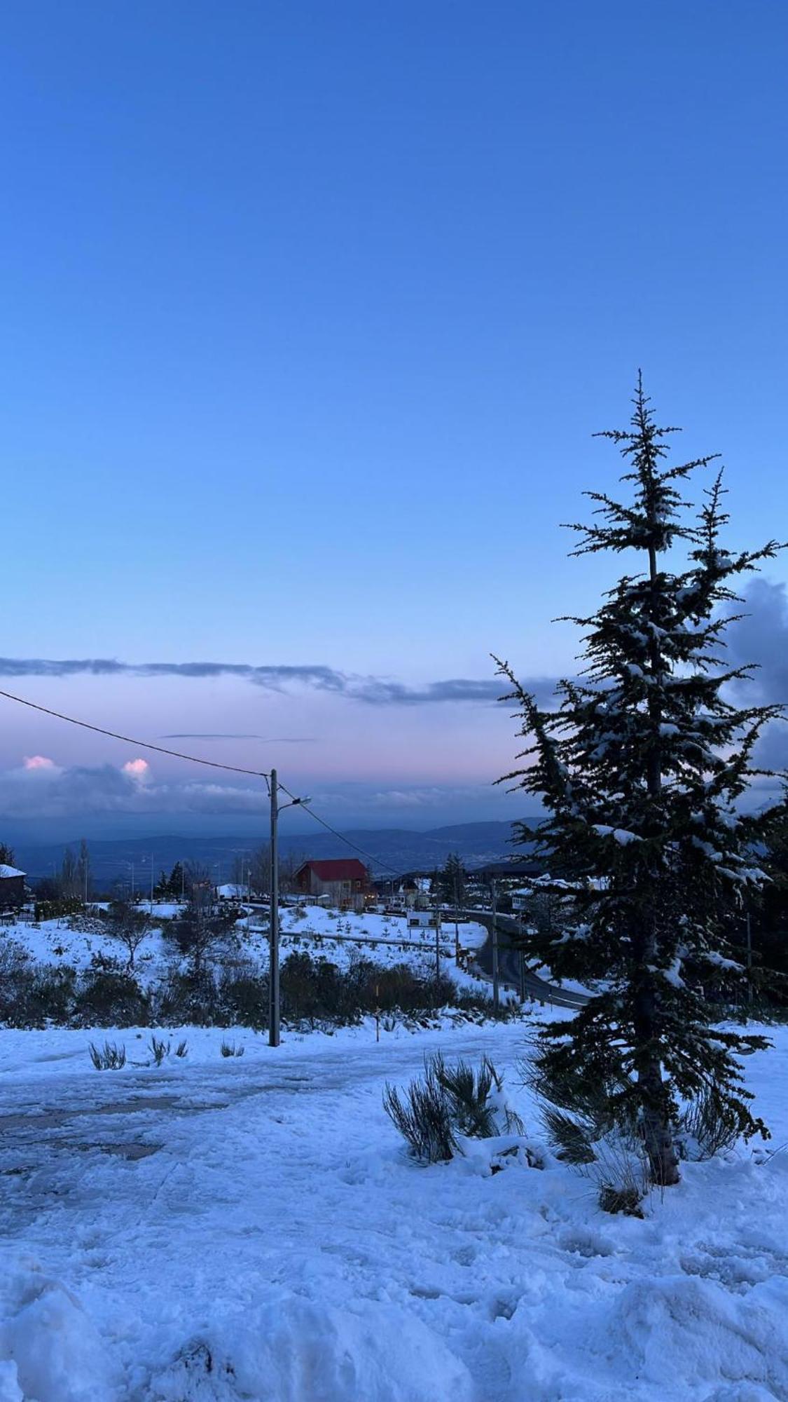 Casa Dos Pinheiros - Serra Da Estrela Penhas da Saúde Kültér fotó